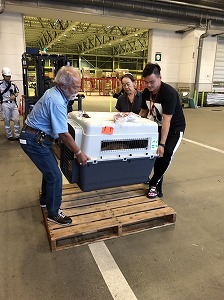 alo-mm (2).jpg(32997 byte)